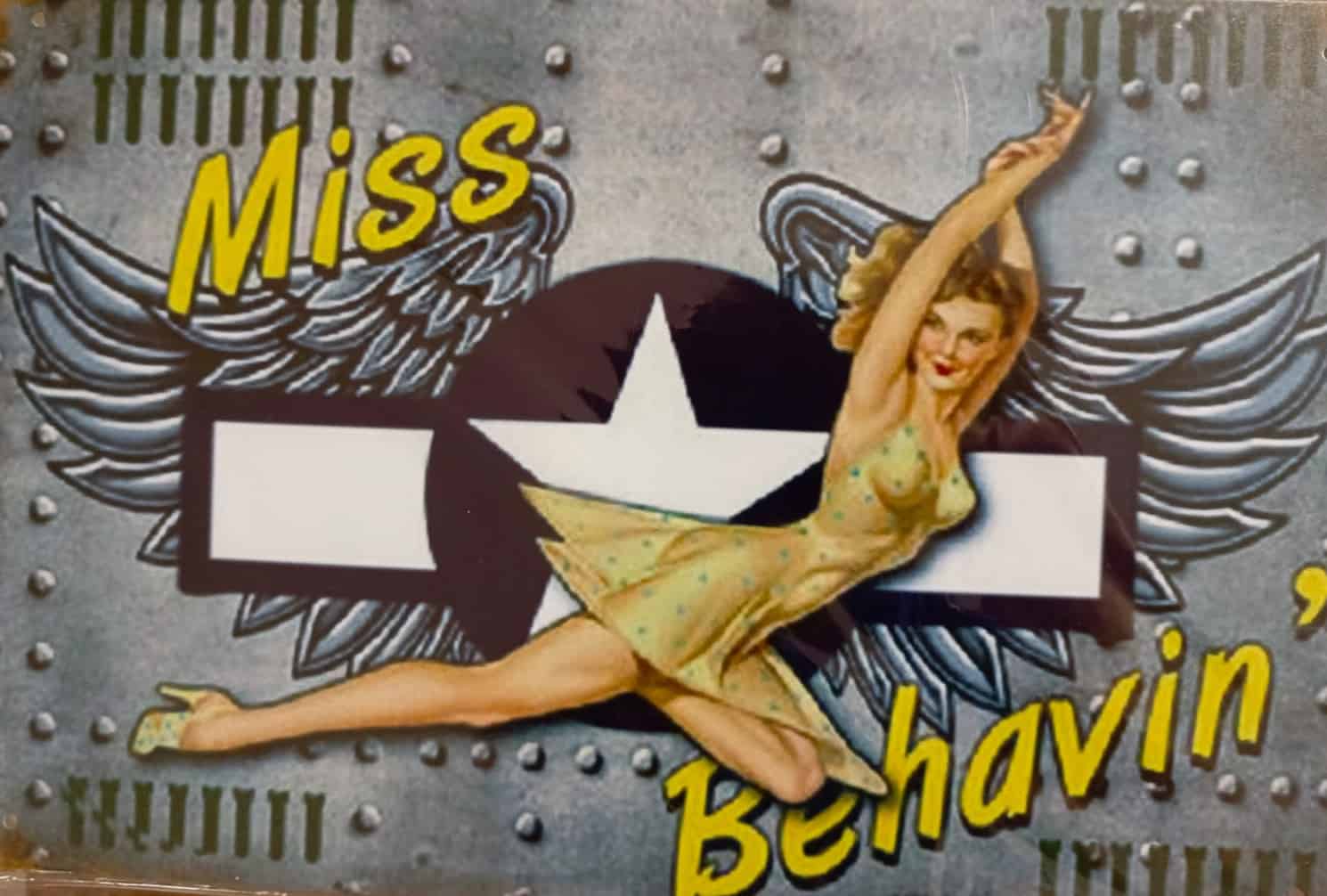 Chicas y aviones WWII-28